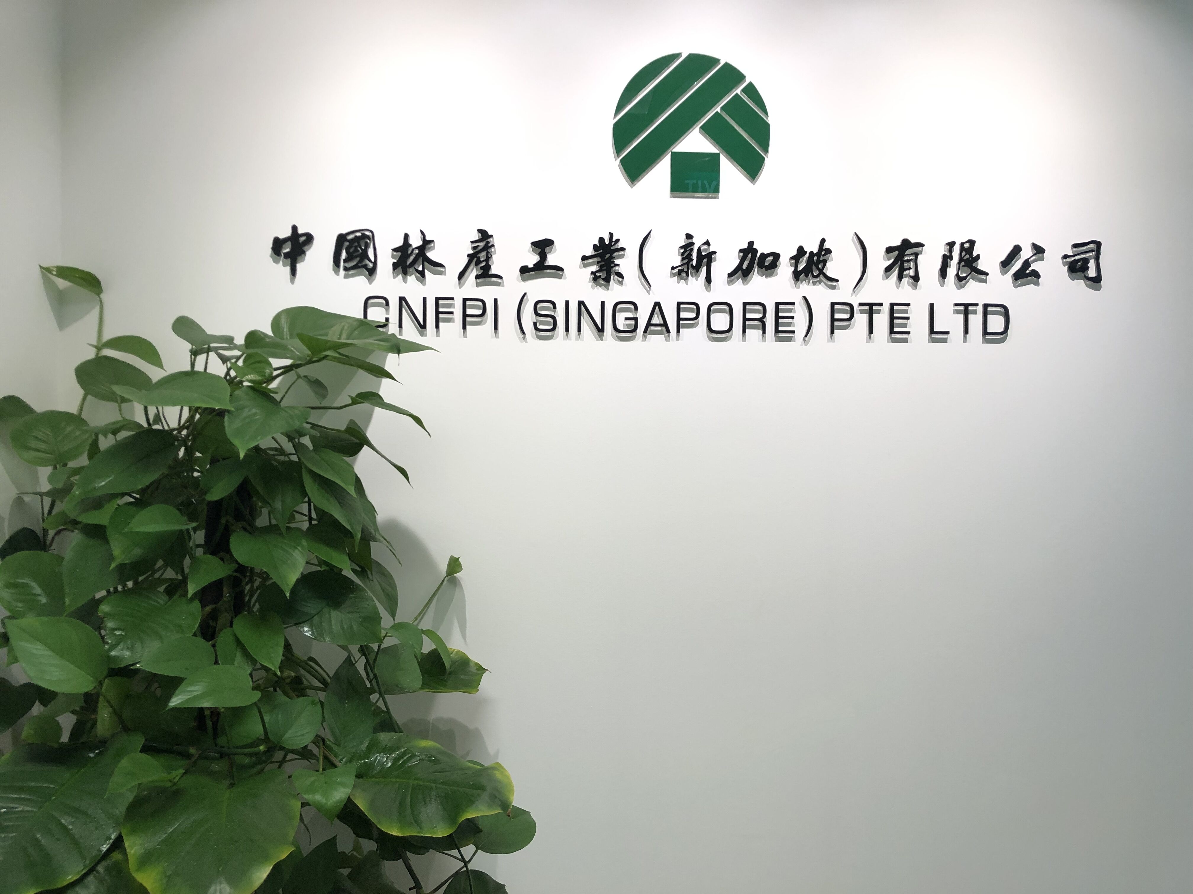 中国林产工业（新加坡）有限公司