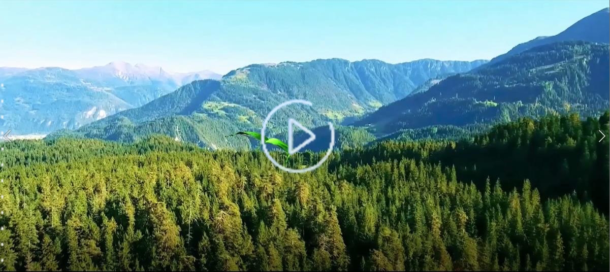 拼搏进取-绽放青春华丽篇章